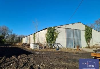 Vente entrepôt Ambarès-et-Lagrave - Proche A10 et Rocade Bordelaise