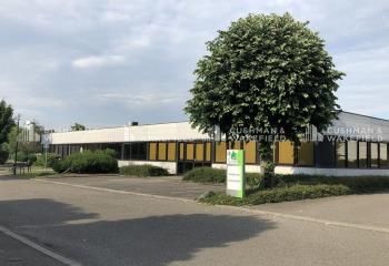 Location bureaux Strasbourg - Parc Tertiaire de la Meinau, proche transports
