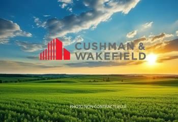 Terrain industriel à vendre Lespinasse, proche A62 et route de Paris