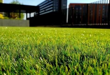 Terrain industriel à vendre Aumontzey - Proche Gérardmer et TGV