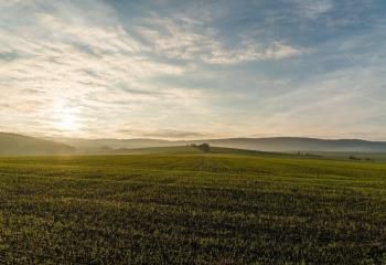 Terrain à vendre Gironde-sur-Dropt - accès A62