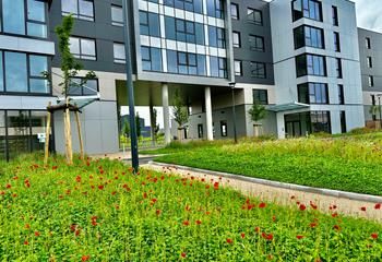 Location bureaux Strasbourg Ouest - Proche centre-ville, TGV et transports