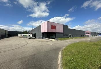 Entrepôt à louer Illkirch-Graffenstaden - Proximité A35 et GCO