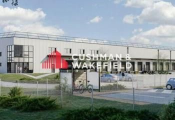 Entrepôt de messagerie à louer Bruguières - Proche A62 sortie St Jory