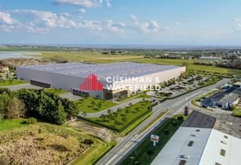 Locaux d'activités et entrepôts à louer Aussonne - Proche aéroport