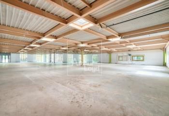 Locaux d'activité à louer Croissy-Beaubourg - Parc aux Vignes