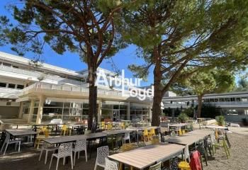 Location bureaux Sophia Antipolis - Quartier des Templiers, proche BHNS