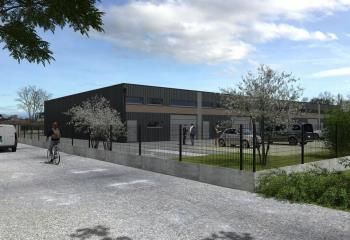 Location locaux d'activité Horbourg-Wihr - Proche A35