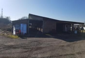 Terrain pour chevaux à Bruges, proche rocade et ZI Campilleau