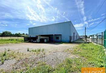 Location entrepôt Saint-Alban - Proximité A62 et bus