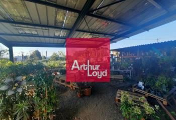 Jardinerie, animalerie, bricolage à vendre Lezoux