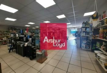 Jardinerie, animalerie, bricolage à vendre Lezoux