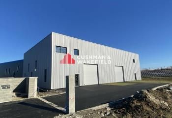 Local d'activité neuf à louer Seysses - Proche A64 et bus