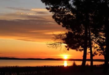 Fonds de commerce à vendre Arès - Bassin d'Arcachon