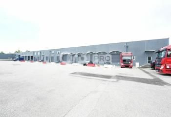 Local d'activité avec quais à louer Corbas - Proche grands axes routiers