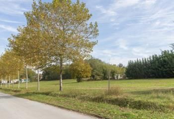 Terrain industriel à vendre Drevant - Proche Bourges et Châteauroux