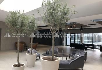 Location bureaux Illkirch-Graffenstaden - Proche tram et accès routiers