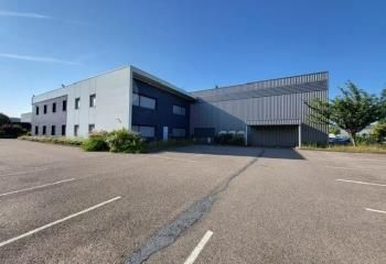 Local d'activité à louer Saint-Priest - Accès A43 et A46