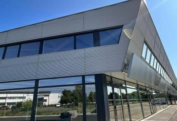 Location cellule d'activité Sainte-Croix-en-Plaine - Desserte A35