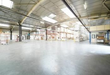 Local d'activité à louer Chaponost - Proche D342 et gare