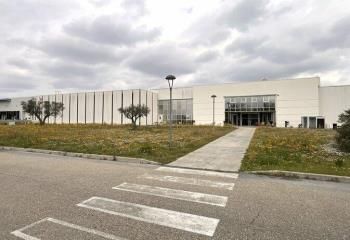 Location entrepôt Chateaurenard - Proximité A7 et N7