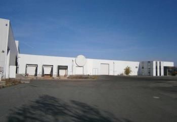 Location entrepôt Couffouleux - Proche A68 et péage de l'Union