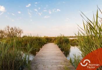 Location local commercial Saint-Laurent-d'Aigouze - Camargue