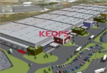 Location locaux d'activité Plaisance-du-Touch - Proche Toulouse