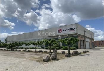 Vente local d'activité Toulouse - Proche périphérique et A64