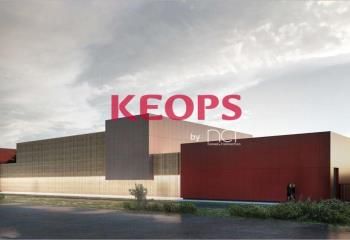 Bâtiment d'activités à vendre Saint-Sulpice - Proche A68 et Toulouse