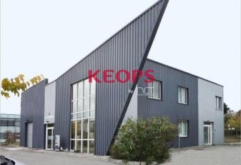 Location bureaux Toulouse - Proche Av d'Atlanta et rocade