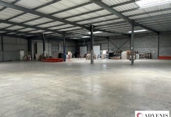 Location bâtiment d'activité Le Haillan - Proche rocade Bordeaux