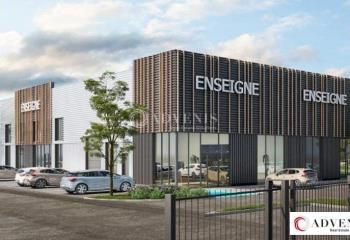 Location local commercial Croix - Proche gare et transports