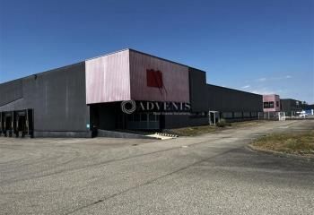 Entrepôt à louer Illkirch-Graffenstaden - Accès direct autoroute A35