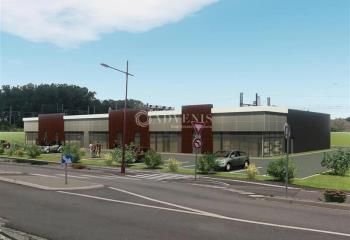 Locaux d'activités avec showroom à louer Vendenheim - Proche A355