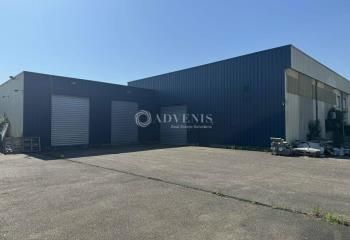 Local d'activité à louer Eckbolsheim - Parc d'activités