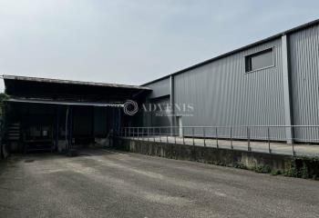 Local d'activité à louer Strasbourg - Port du Rhin - Proche A35