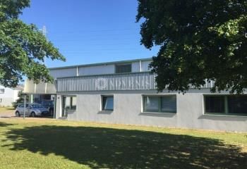 Bâtiment d'activité avec pont roulant à vendre Duttlenheim - Parc d'activités