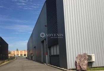 Lots d'activités et de stockage à louer Illkirch-Graffenstaden - Zone Industrielle Sud