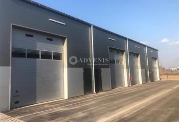 Locaux d'activités et box de stockage à louer Entzheim - Proche aéroport