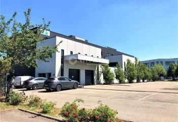 Location bureaux Entzheim - Proche aéroport et autoroute