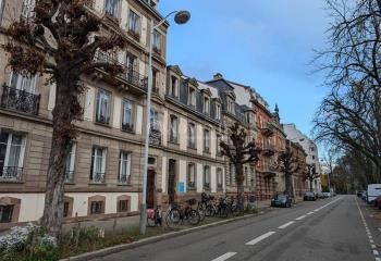 Location bureaux Strasbourg centre - Proche tram et bus