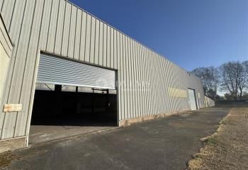 Vente hall d'activité Illkirch-Graffenstaden - Proche Strasbourg et GCO