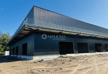 Cellules multi-activités à vendre Haguenau - Proche A4 et A350