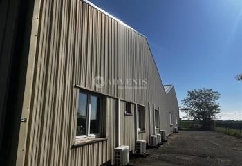 Local d'activité à louer Duttlenheim - Parc d'Activités - Proche A35