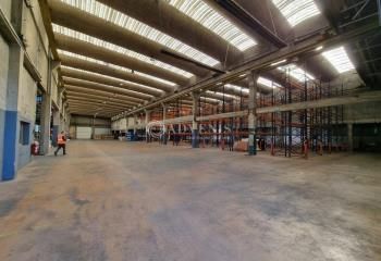 Entrepôt à louer Saint-Pierre-des-Corps - Proche Tours et autoroutes