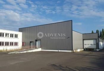 Local d'activité à louer Saint-Pierre-des-Corps - Proximité gare TGV et A10