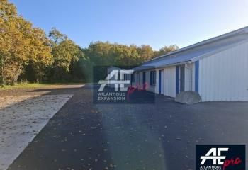 Local d'activité à louer Saint-Nazaire - Proche Chantiers de l'Atlantique