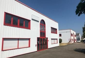 Locaux d'activité à louer Hoerdt - Zone Industrielle