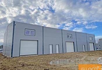 Location local d'activité neuf Grisolles - Proche Eurocentre et A62